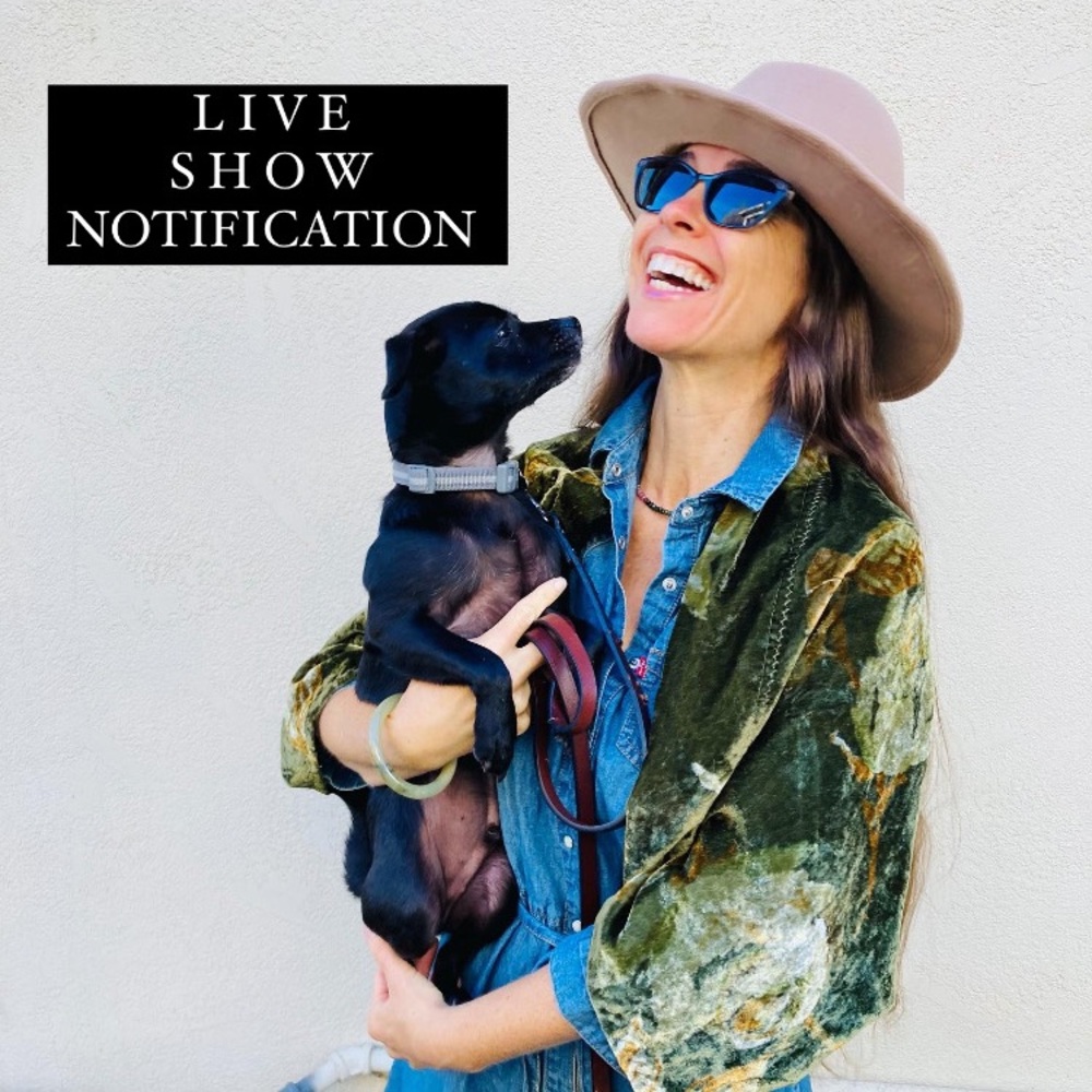 @AnnaZerega is LIVE! COME SAY HI 🤗 Like to be notified